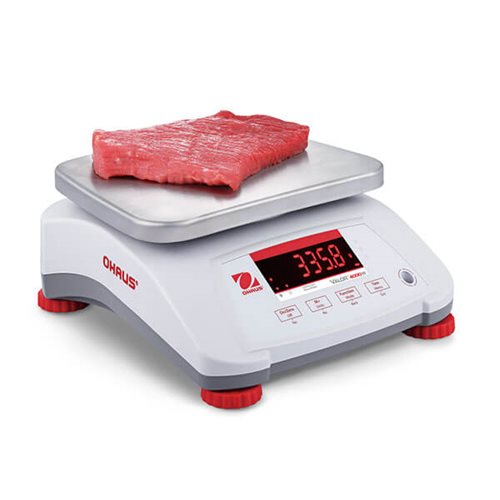 PR Series Precision Precision Balance PR423/E