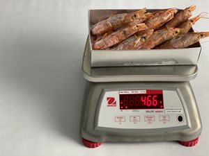 Meat Weighing Scale Portion Scale for High Moisture Environment - China  Stainless Steel Scale, Waterproof Scale